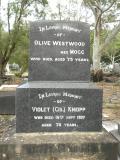 image of grave number 389709